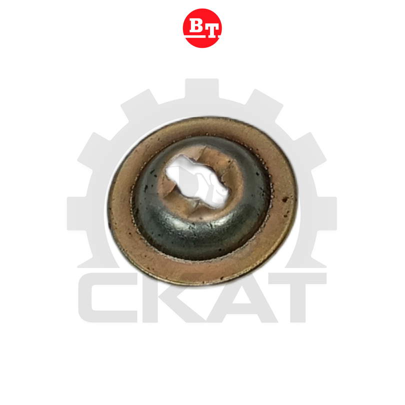 Колпачок пальца тормозной колодки BT DT/GT15-55, CBE15-55 (1шт)